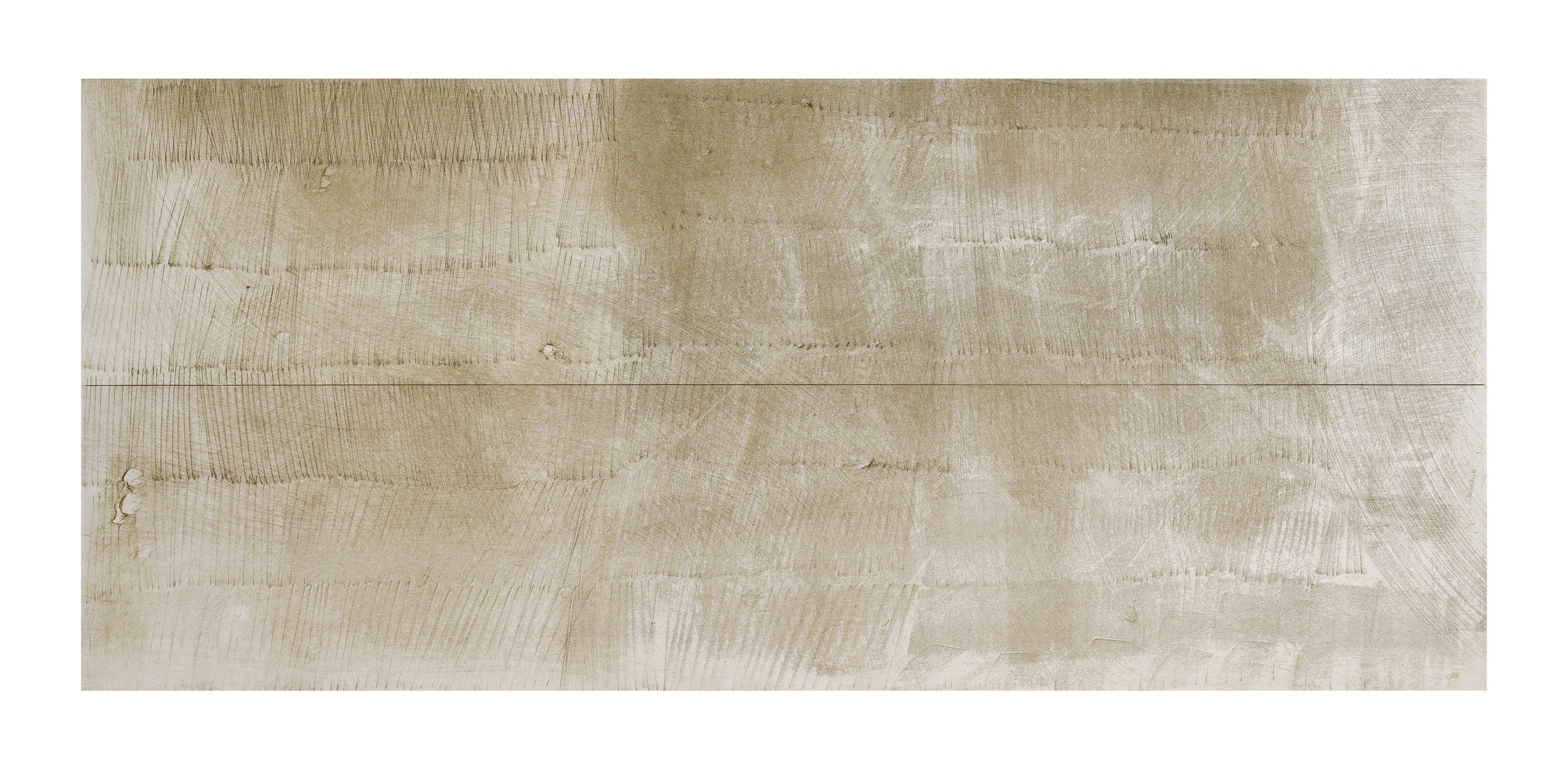 Aspect under a silver light ; Japanese tissue monotypes collaged onto wood panel, Diptych, 51 × 122 cm, 2025