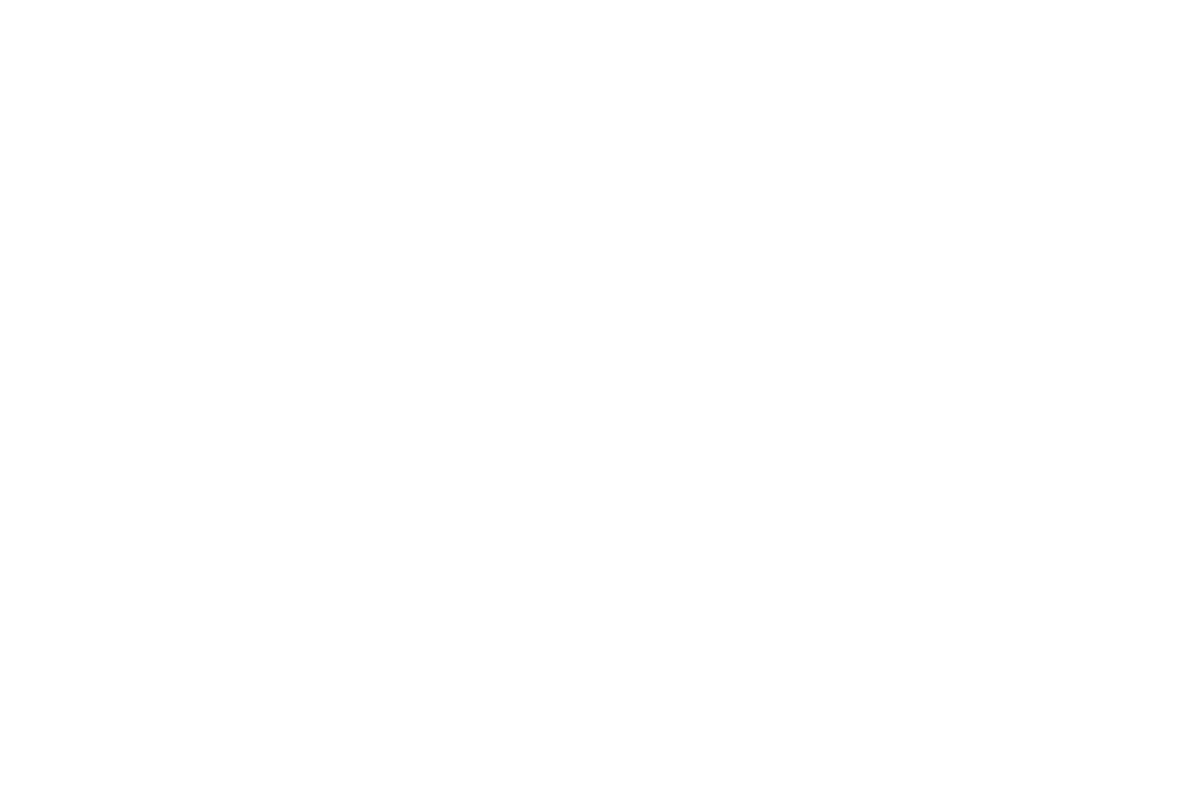OFFICIAL SELECTION - Videoscream International Film Festival - 2020.png