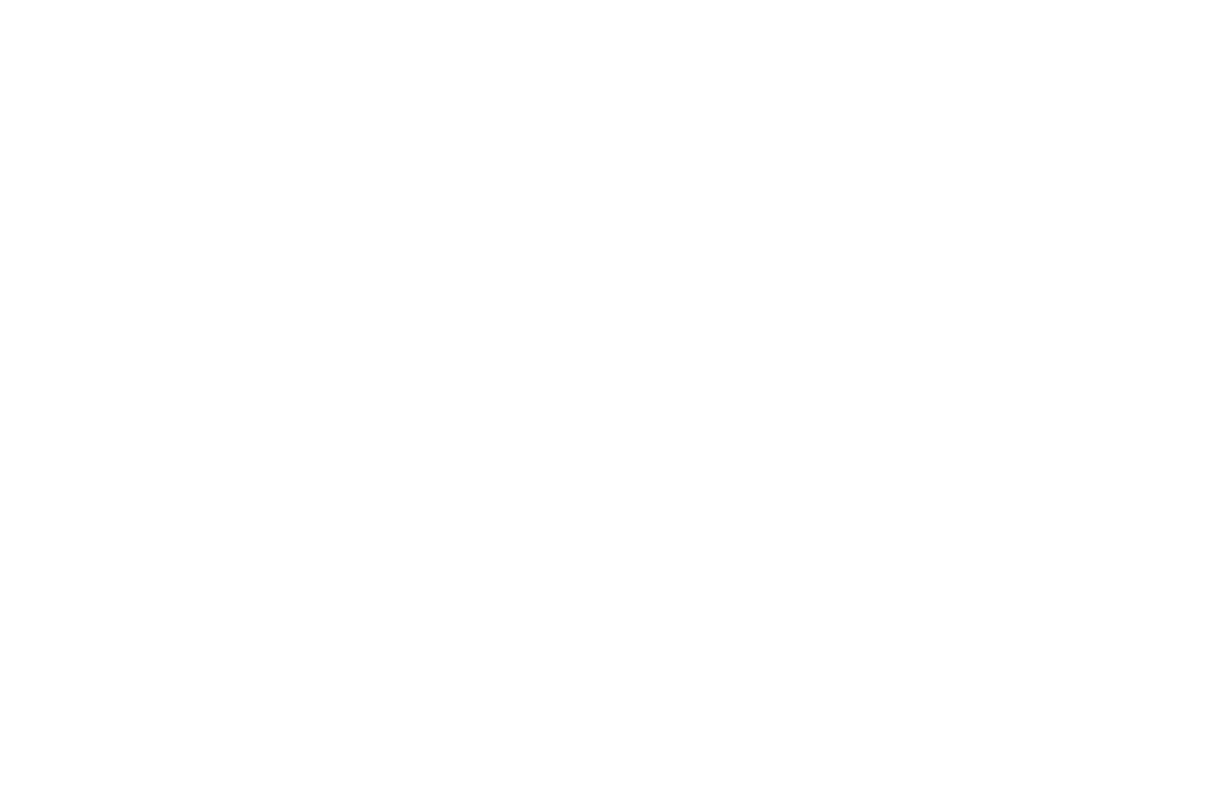 OFFICIAL SELECTION - Best of Baltimore Student Film Festival - 2014.png