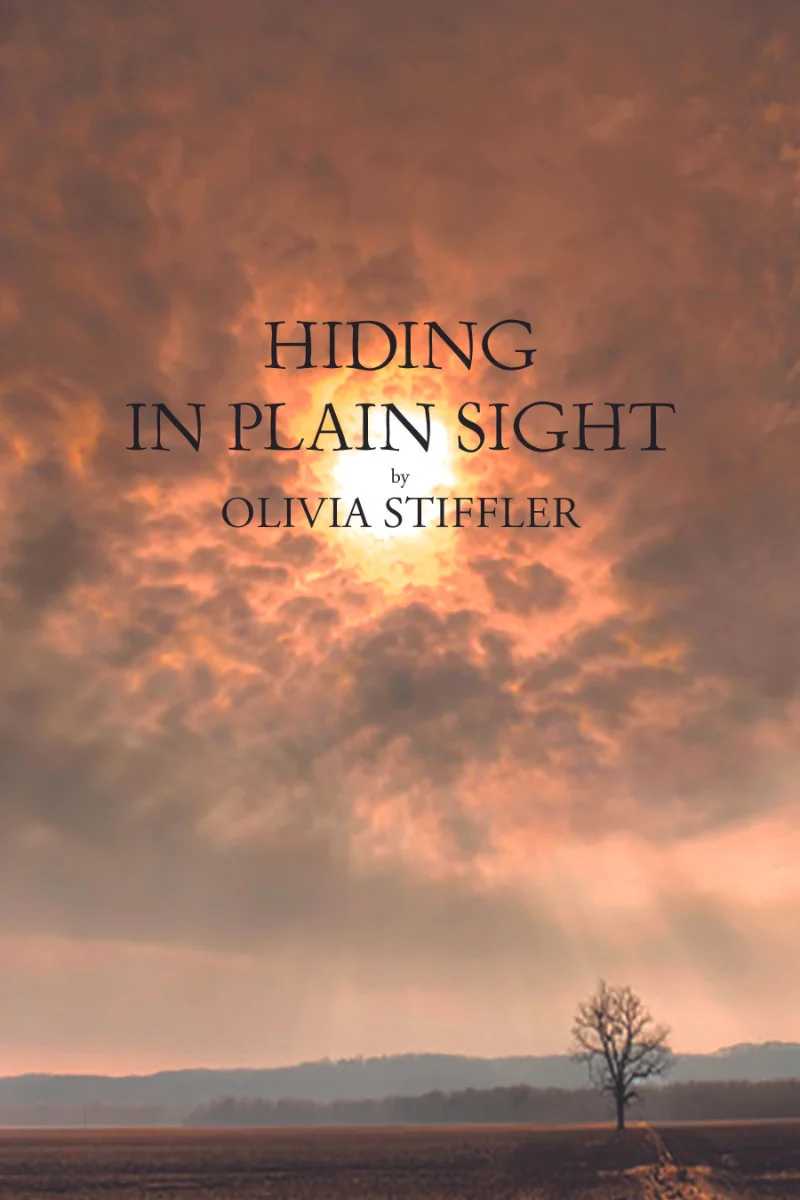 hiding-in-plain-sight-cover.jpg