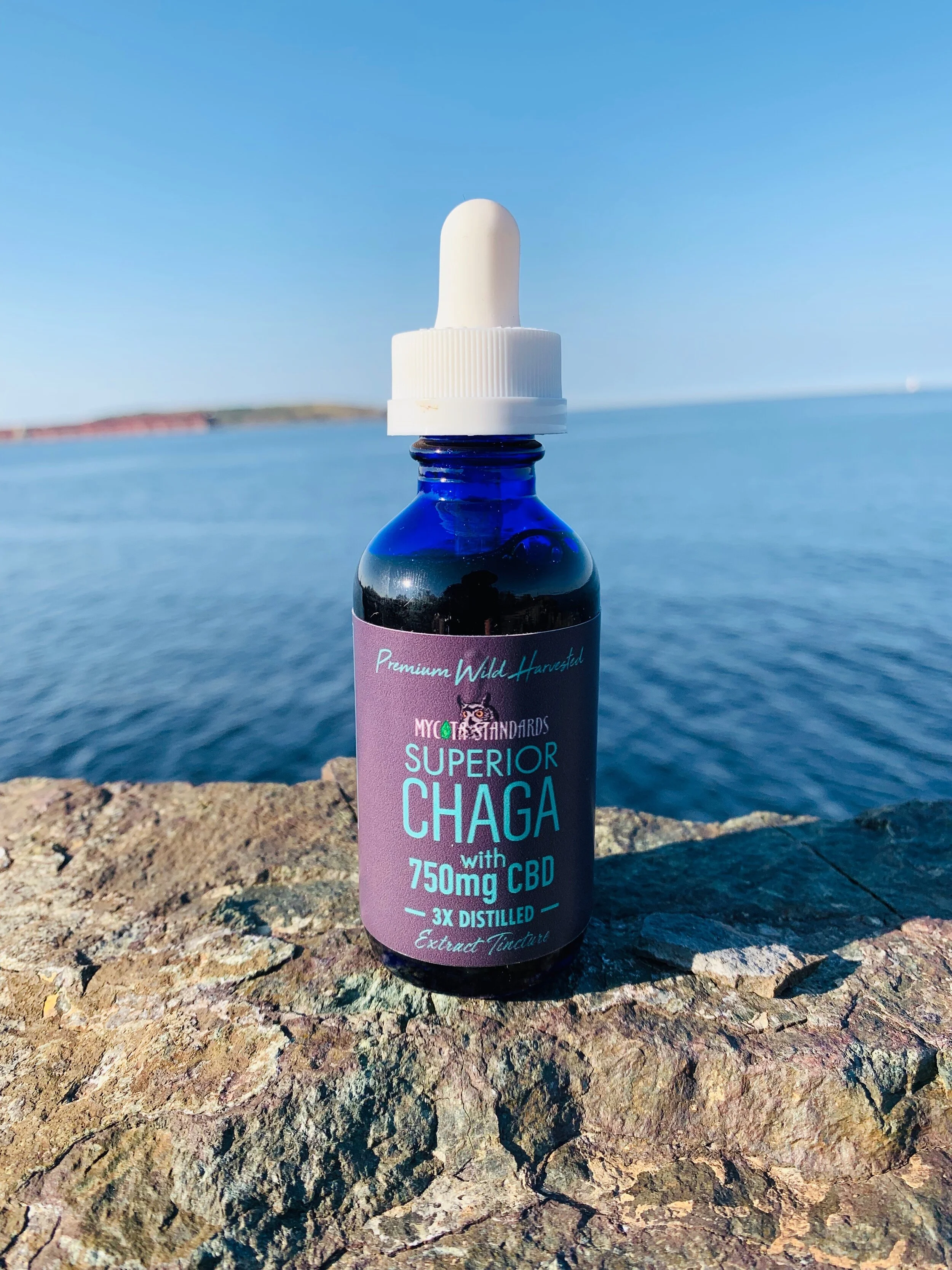 FullSizeRender (1).JPEG