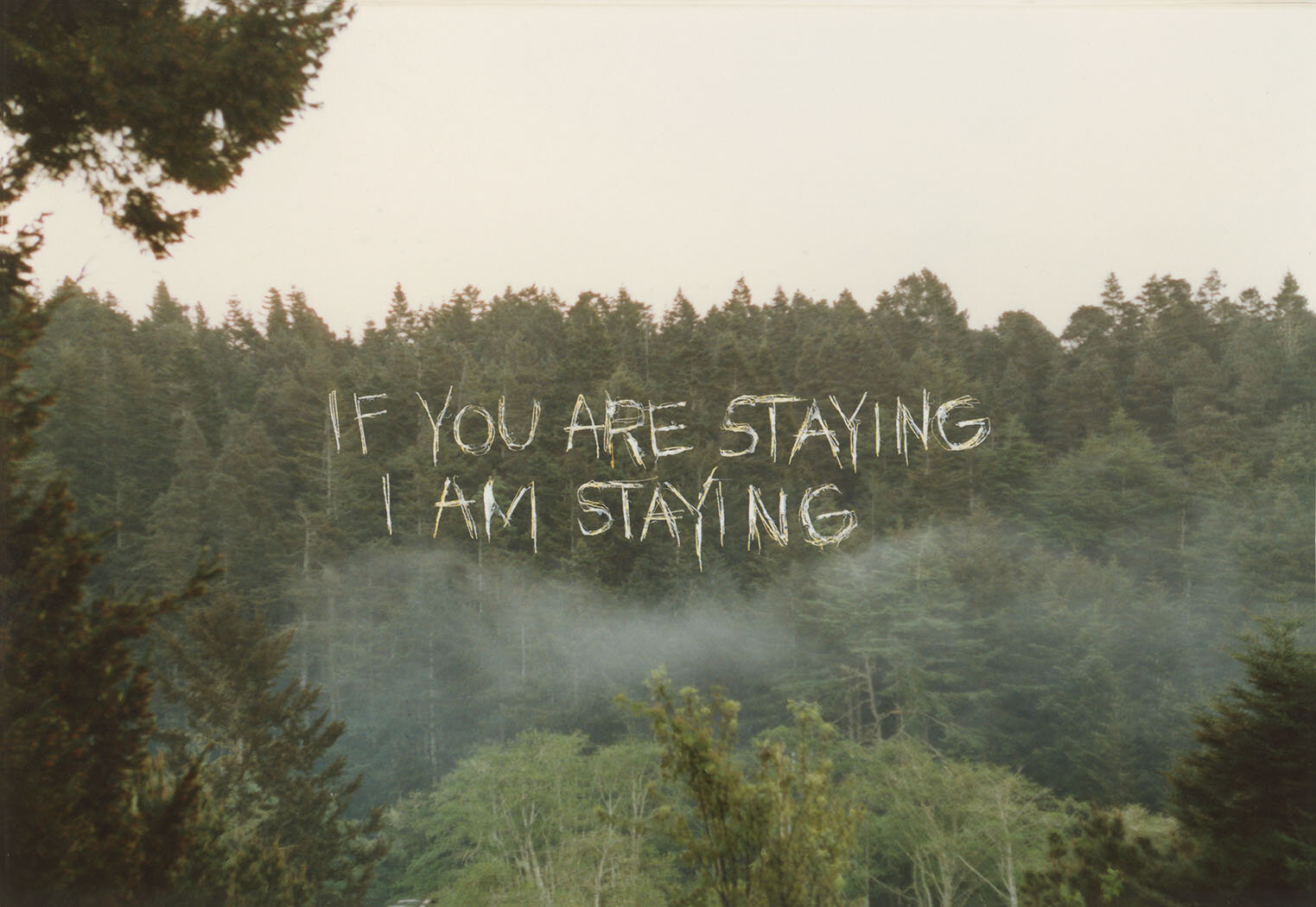  If you are staying. I am staying.  