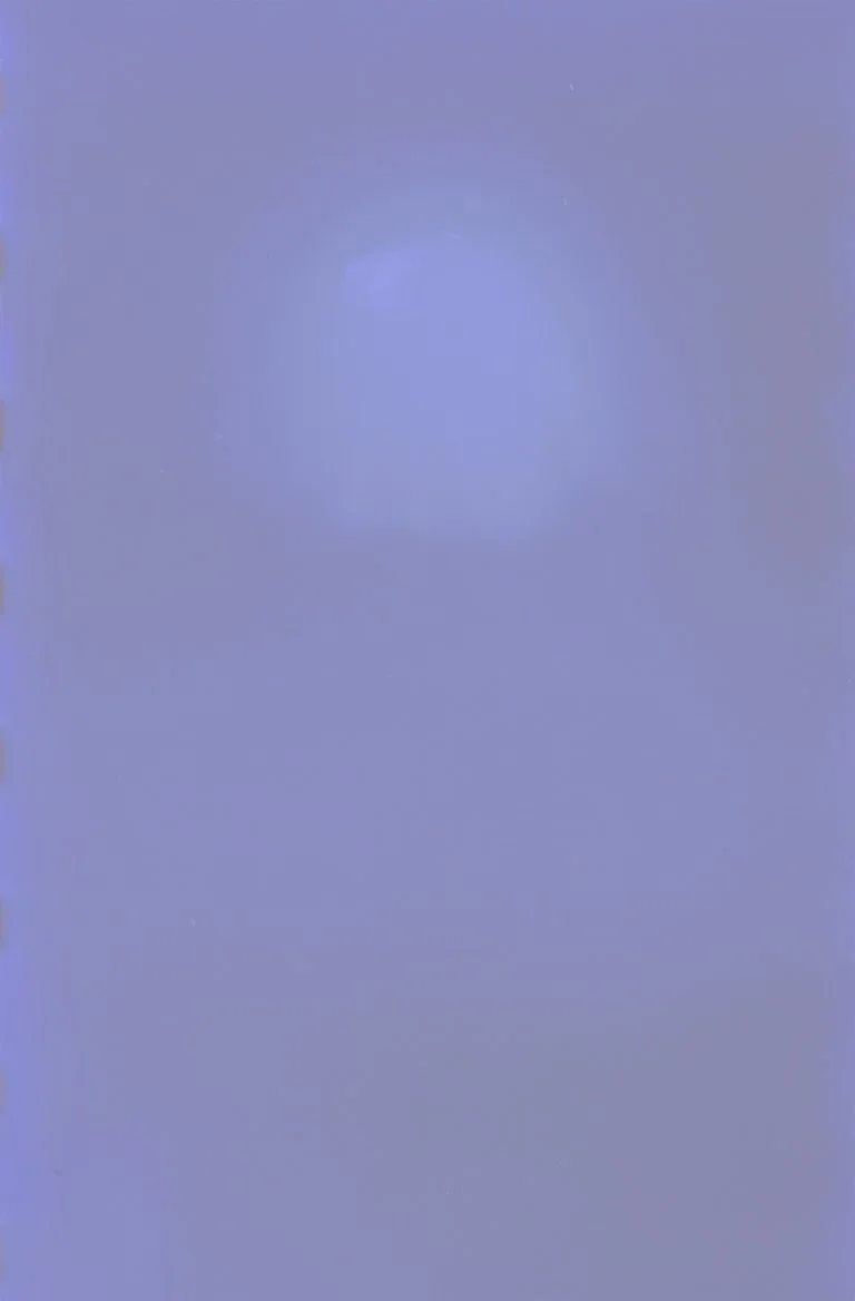 wwh4.jpg