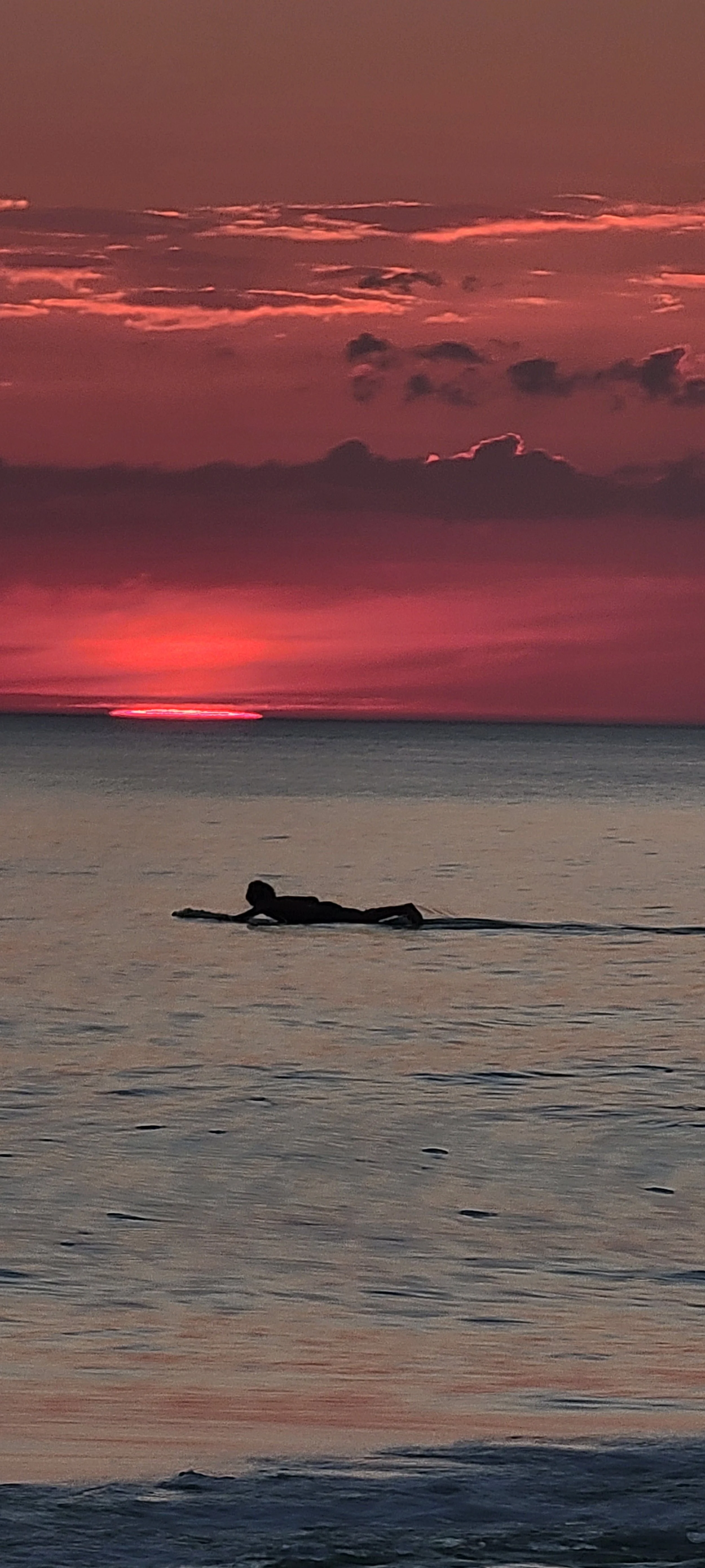 20221108_165232.jpg
