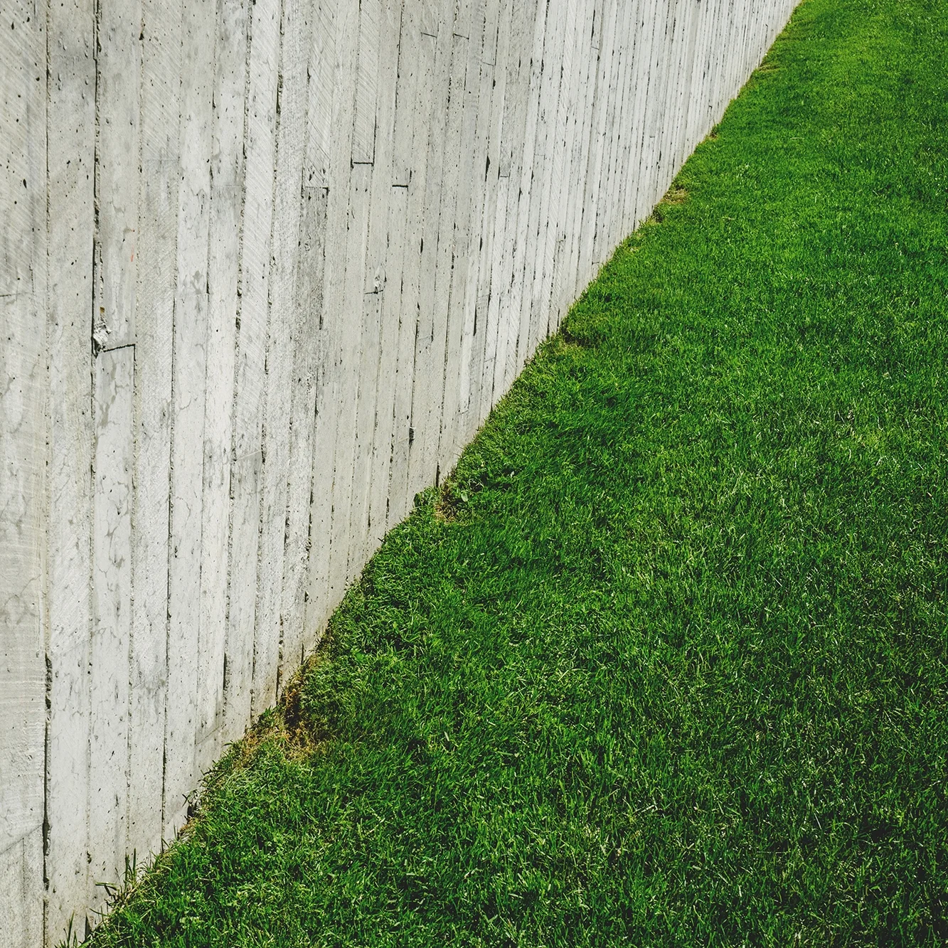 scott-webb-120552-unsplash.jpg