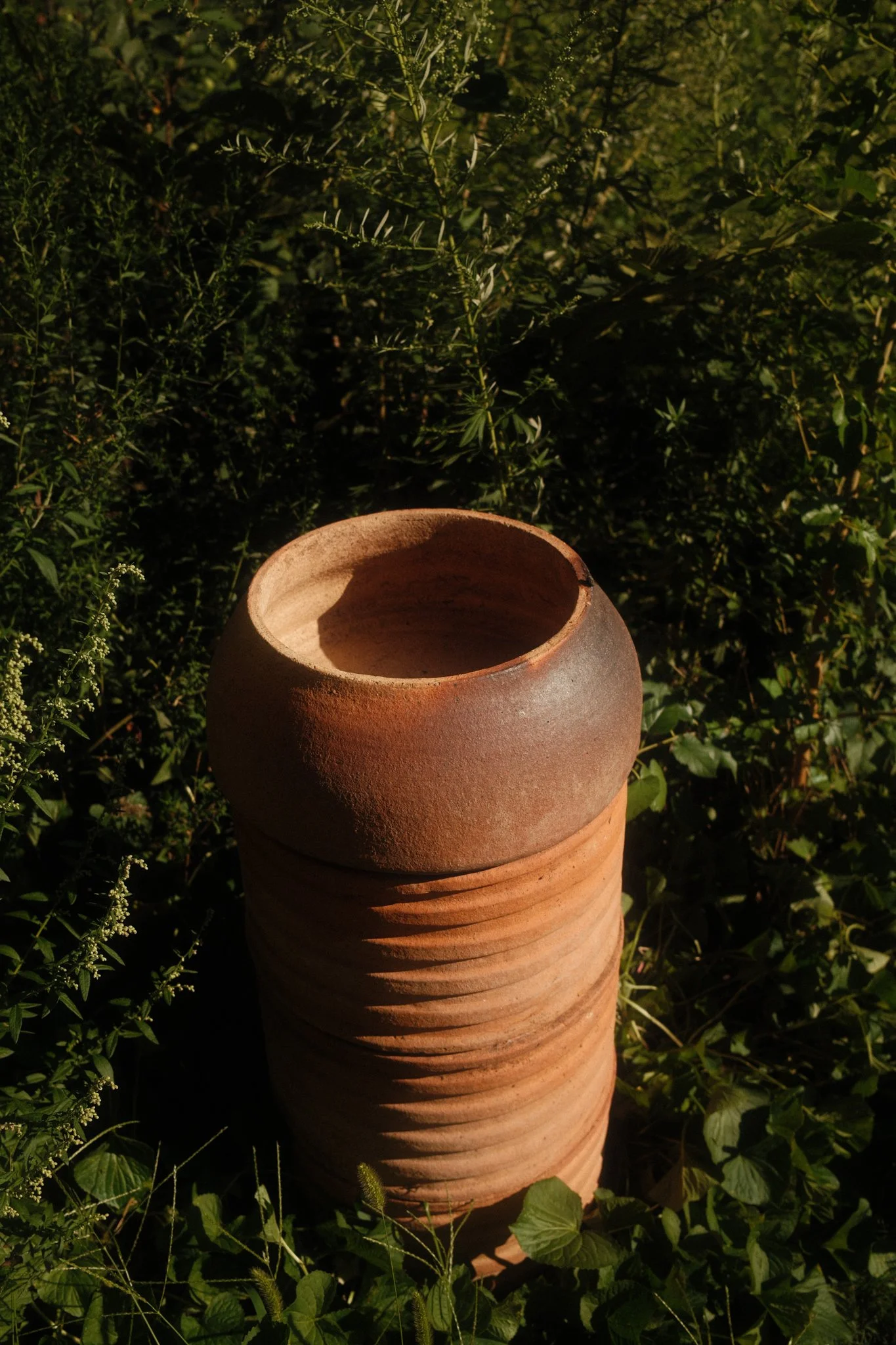 DSCF3689.jpg