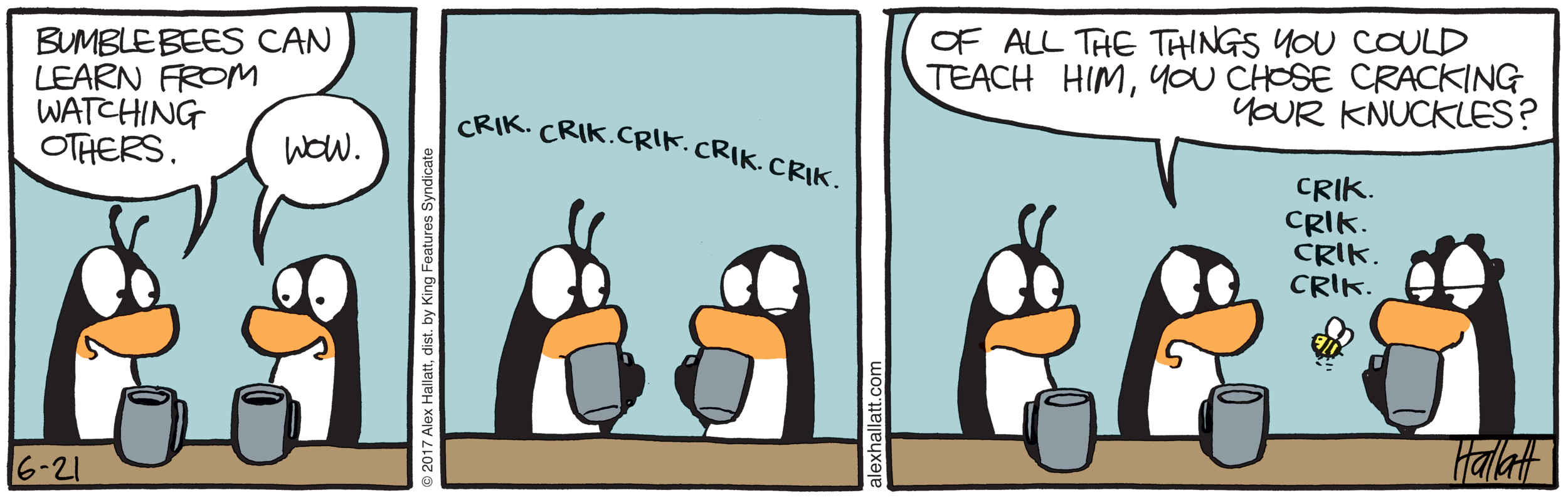Bumblebees have a lot of hidden talents.