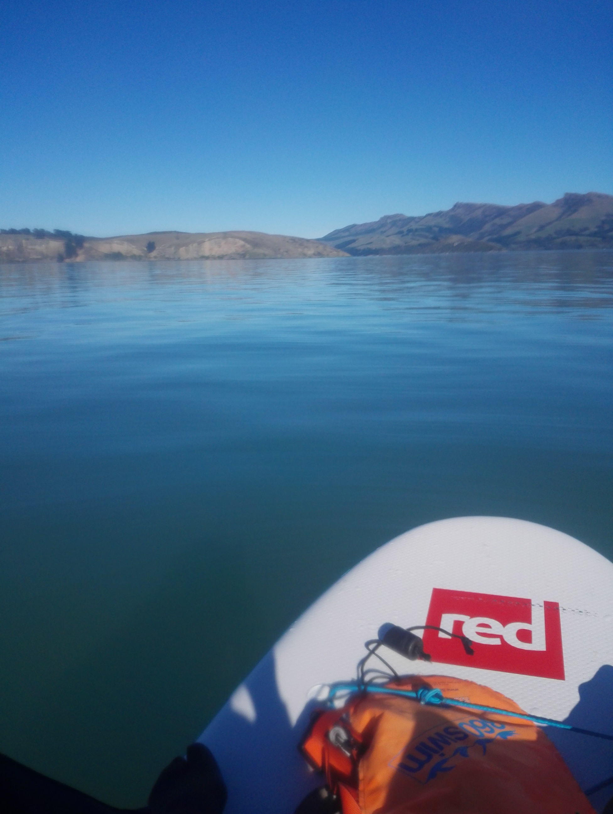 1-SUP-to-Quail-Island-Lyttelton.jpg