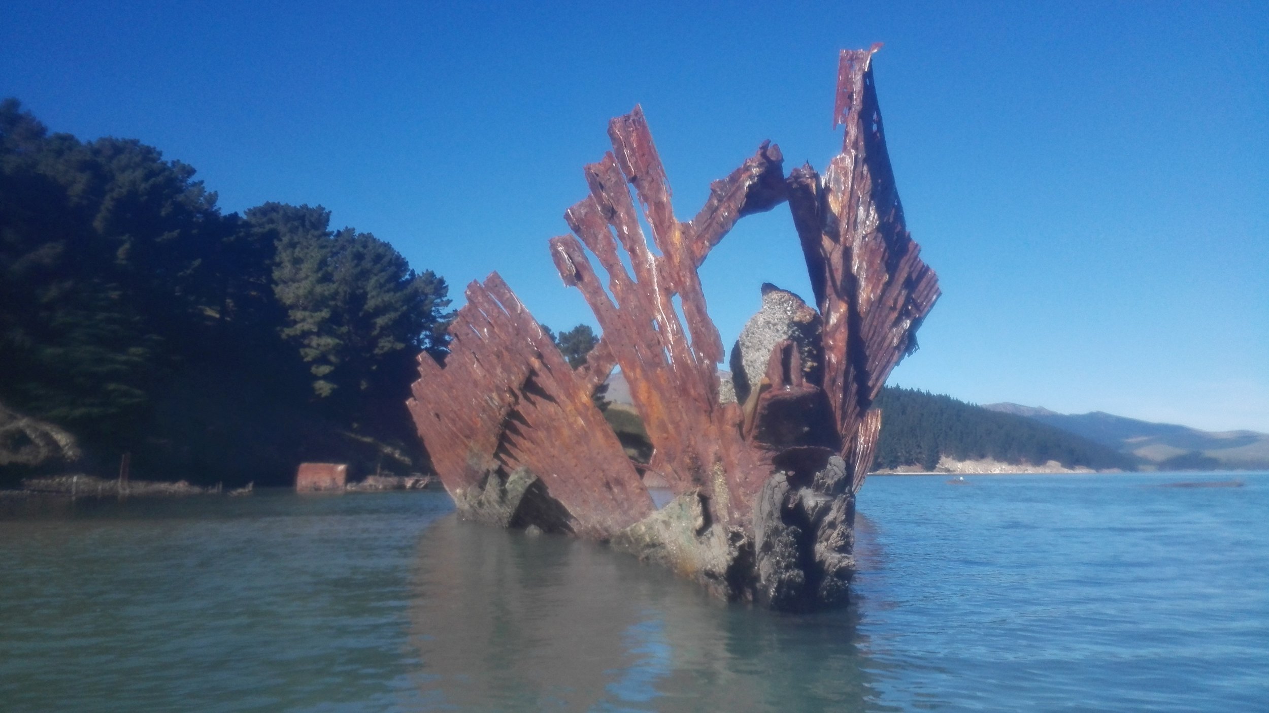 4-wreck-Quail-Island-Lyttelton.jpg