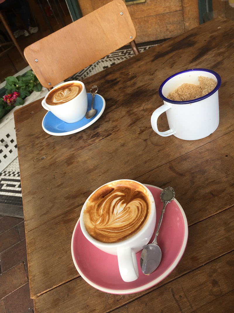 Dunedin-coffee-morning-magpie.jpg