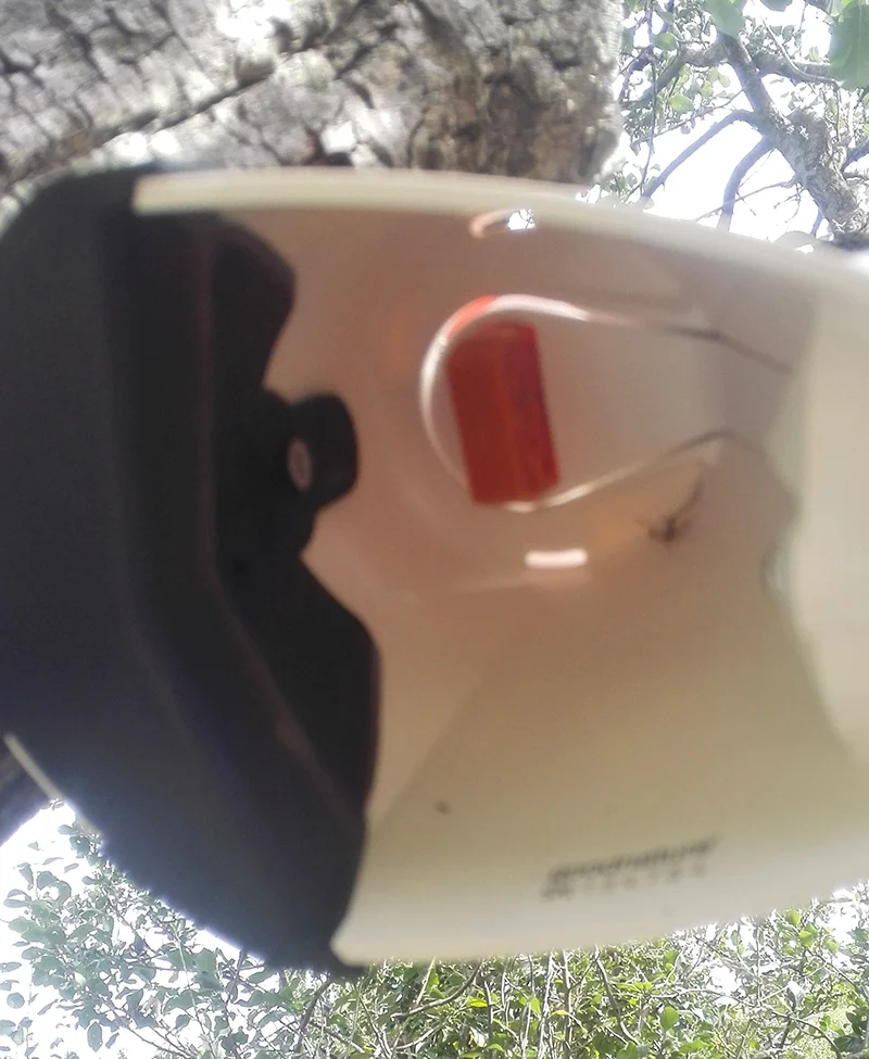 Hopefully the possum will climb the tree and head towards the bait putting his head in here, being killed very quickly.