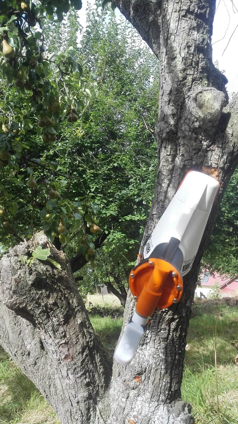 Okay possums, my pear tree is ready for you!