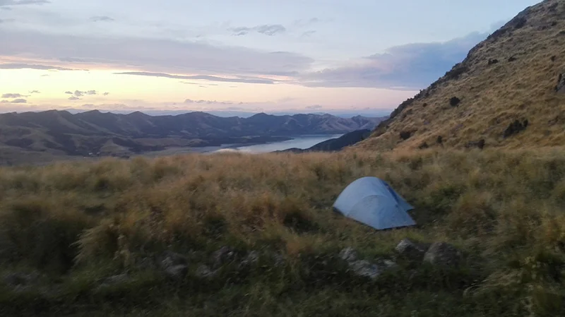 Camping at Sign of the Packhorse - looking out over Lyttelton Harbour