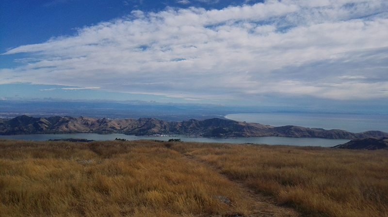 2019-02-20-10.37.05-lyttelton-from-mt-herbert.jpg