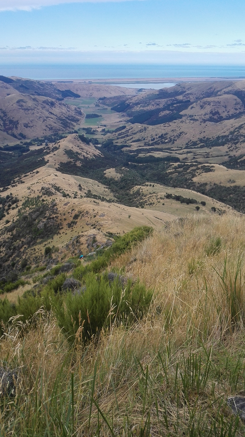 2019-02-20-09.01.08-packhorse-to-herbert-kaituna-valley.jpg