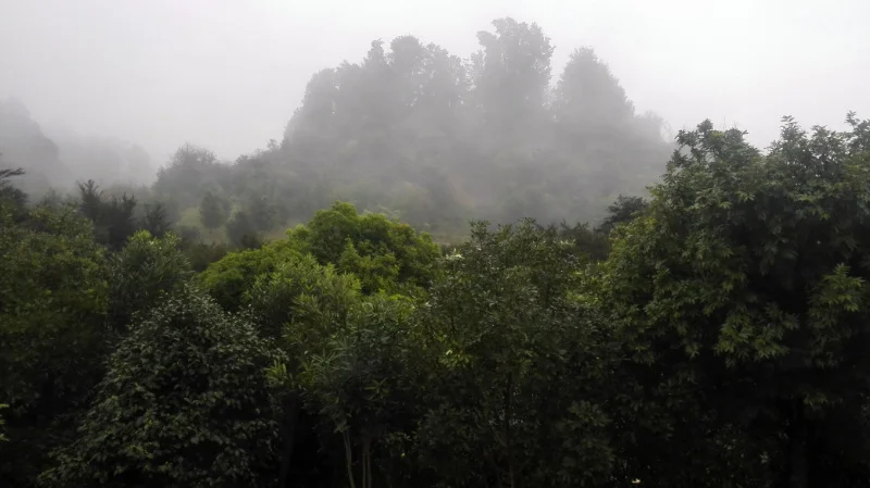 …with a view of nature and the sound of birdsong