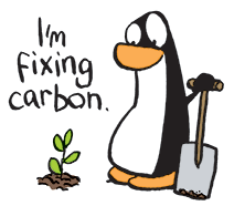 AC2019-spot-fixing-carbon.png