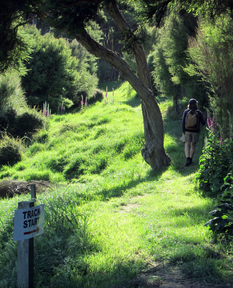 Banks-Peninsula-Walk-2019-11-17 08.40.16.jpg