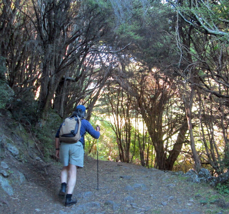 Banks-Peninsula-Walk-22019-11-17 09.09.35.jpg