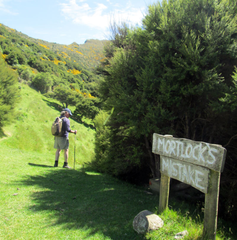 Banks-Peninsula-Walk-22019-11-17 11.33.17what-was-mortlocks-mistake-I-have-no-idea.jpg