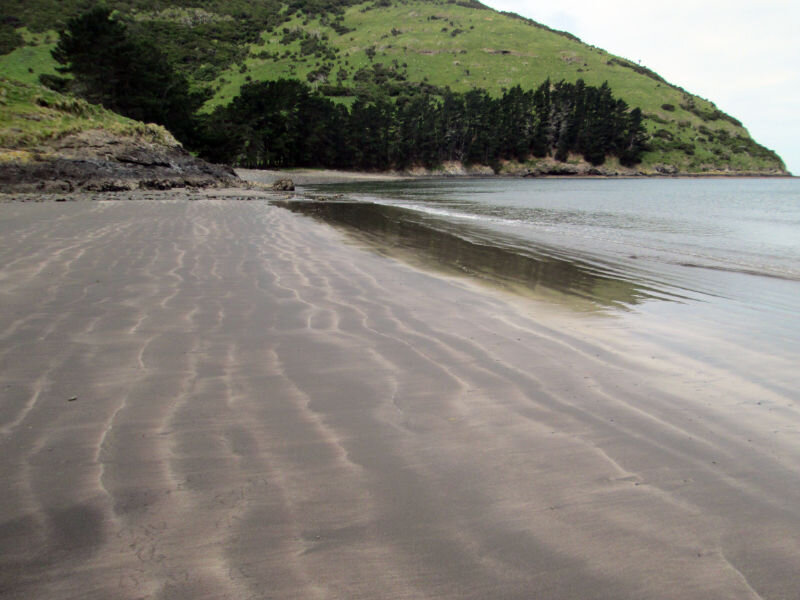 Banks-Peninsula-Walk-22019-11-17 15.41.56.jpg