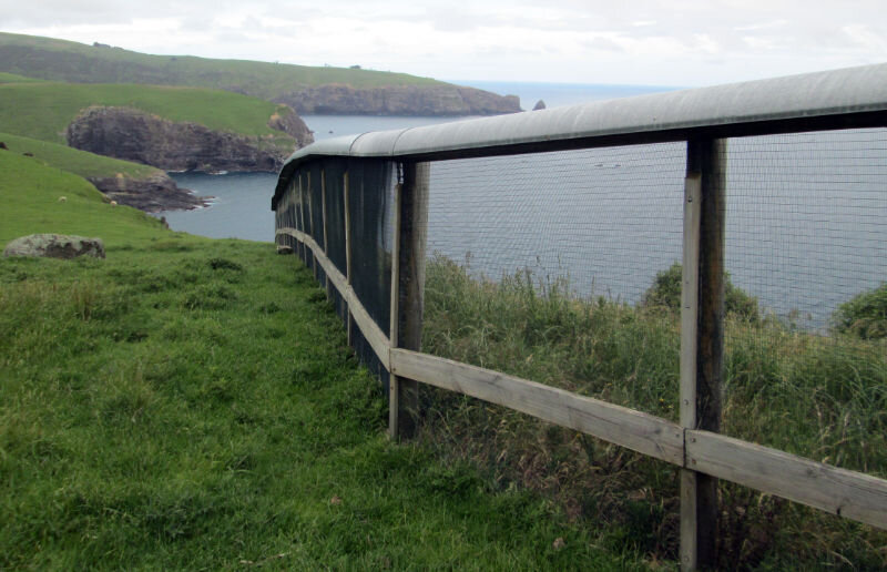 Banks-Peninsula-Walk-22019-11-18 13.26.15.jpg