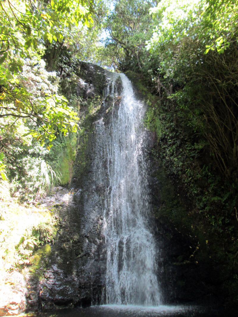 waterfall2019-11-17 13.15.06.jpg