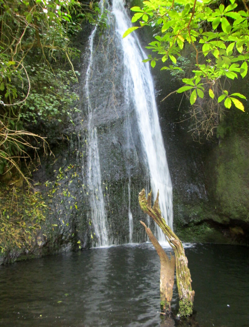 waterfall2019-11-17 13.26.52.jpg