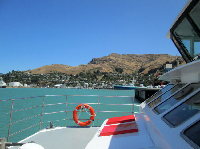 Taking the Black Cat boat from Lyttelton to Quail Island