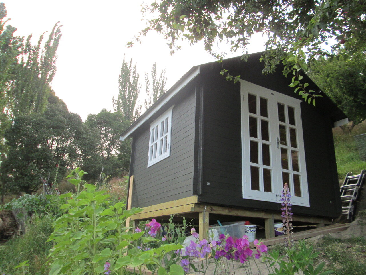 sunflower-studio-alex-hallatt-garden-shed-sheshed-pre-deck.jpeg