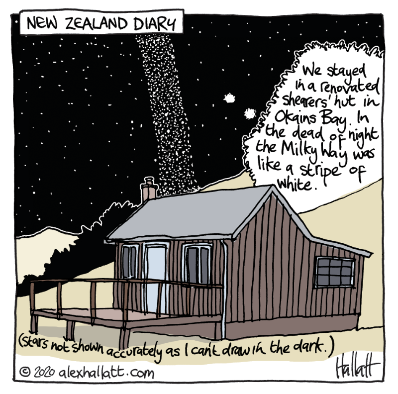 Doodle-NZdiary-131.png