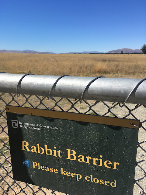 IMG_3139.jpeg