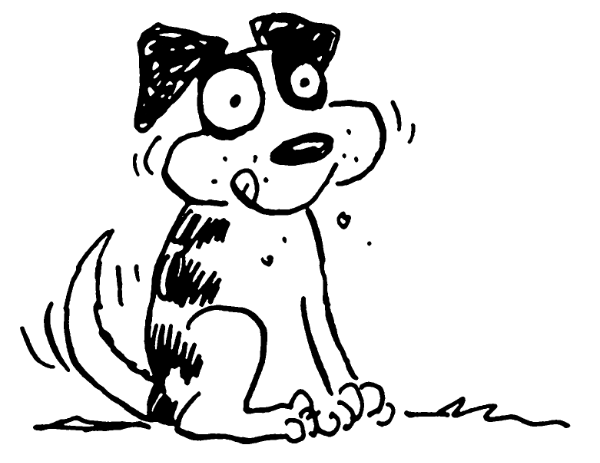 40 days seizure free!