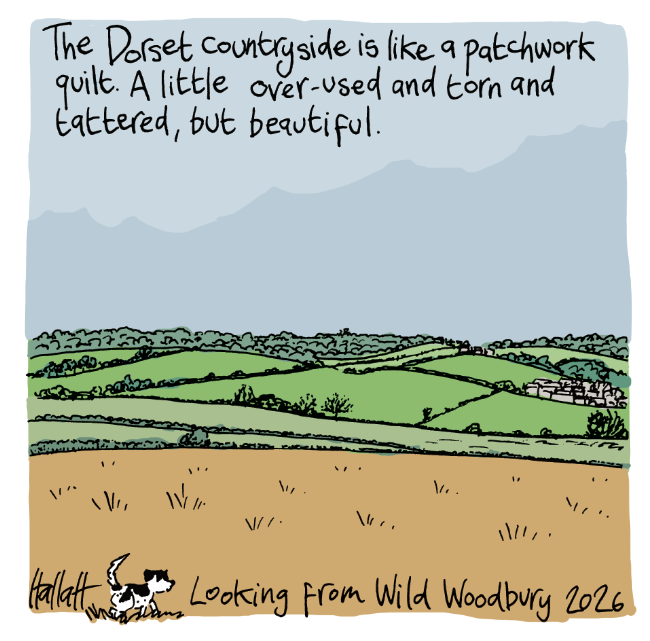 A colourful image of the Dorset countryside with a dog in the foreground, a Jack Russell