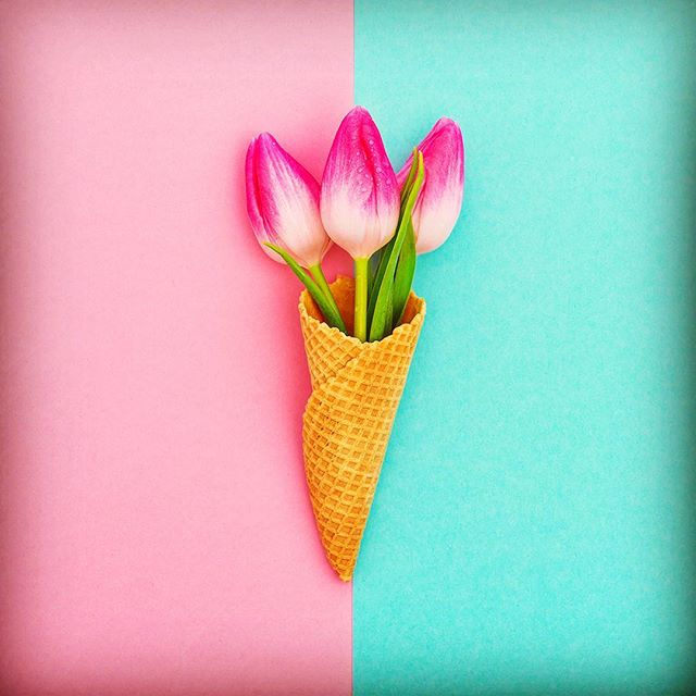 Spring time means time for ice cream 🌷🍦 #torontosoftee #springtime #icecream #foodtrucksto #fun #love #icecreamtruckrental #tdot #toronto #yyz #yyztreats #sweet #sweettooth #sweety #torontolife #brampton #brampton #twist #dipps #rentanicecreamtruck
