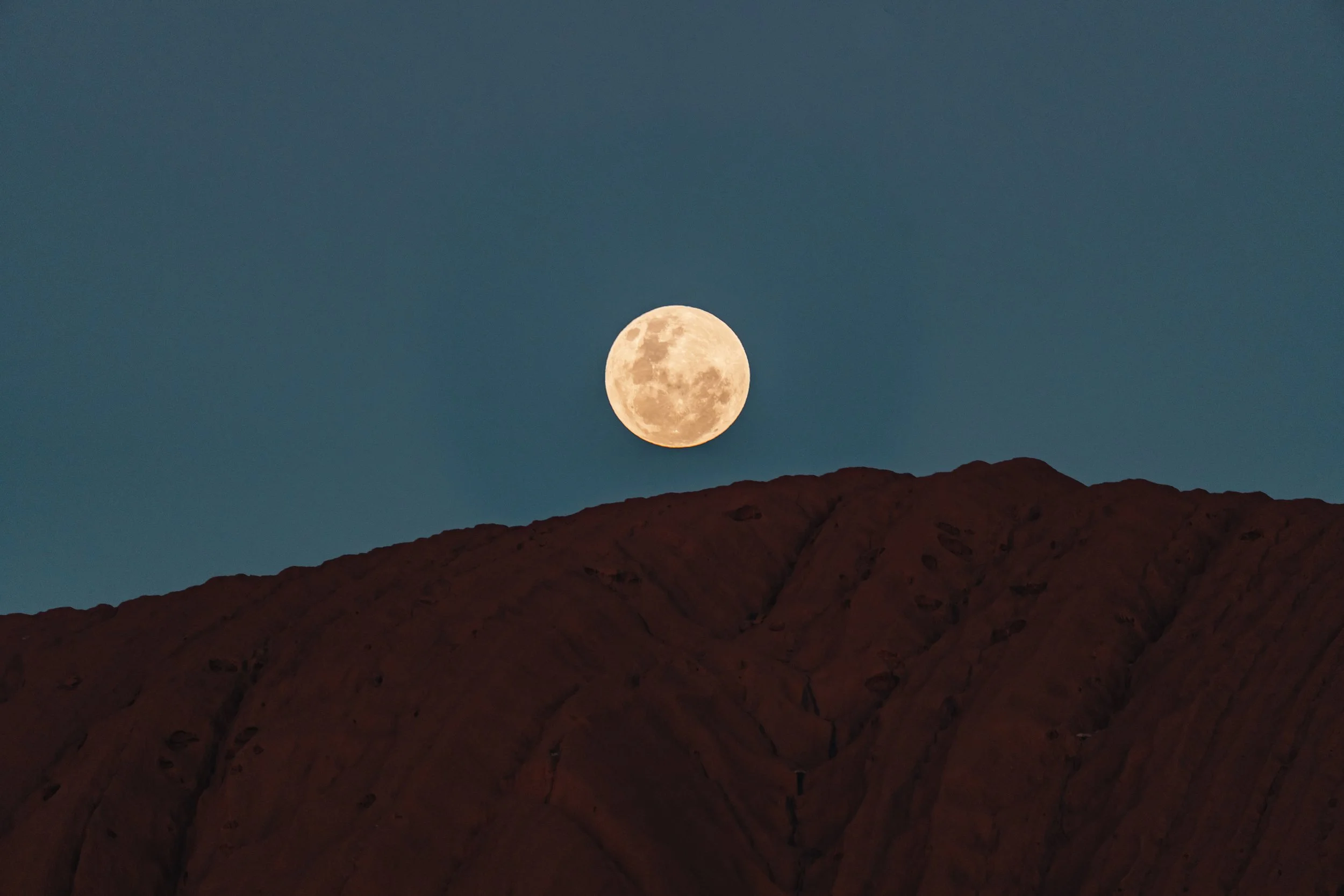 untitled-07227 2.JPG