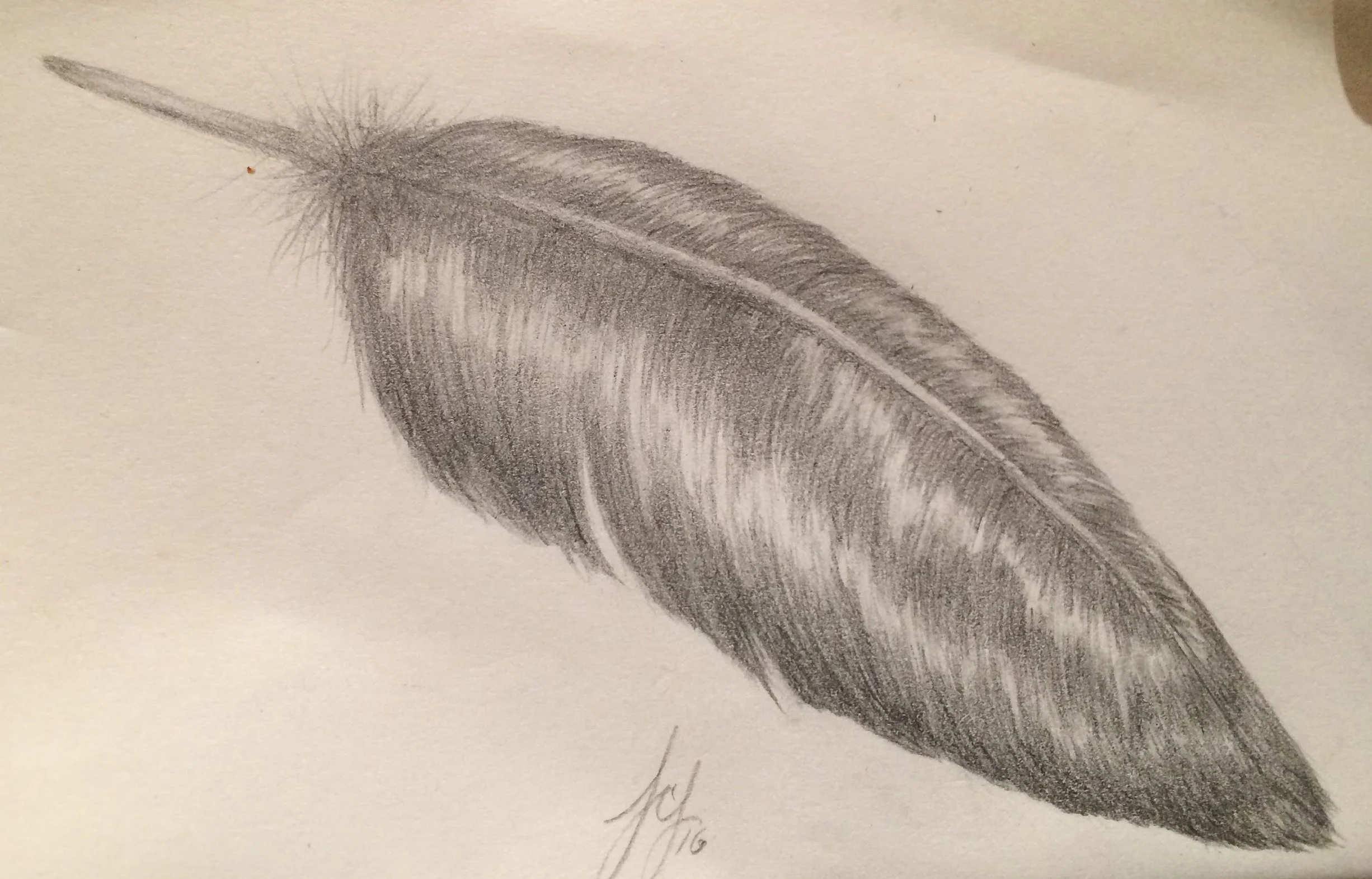 untitled sketch