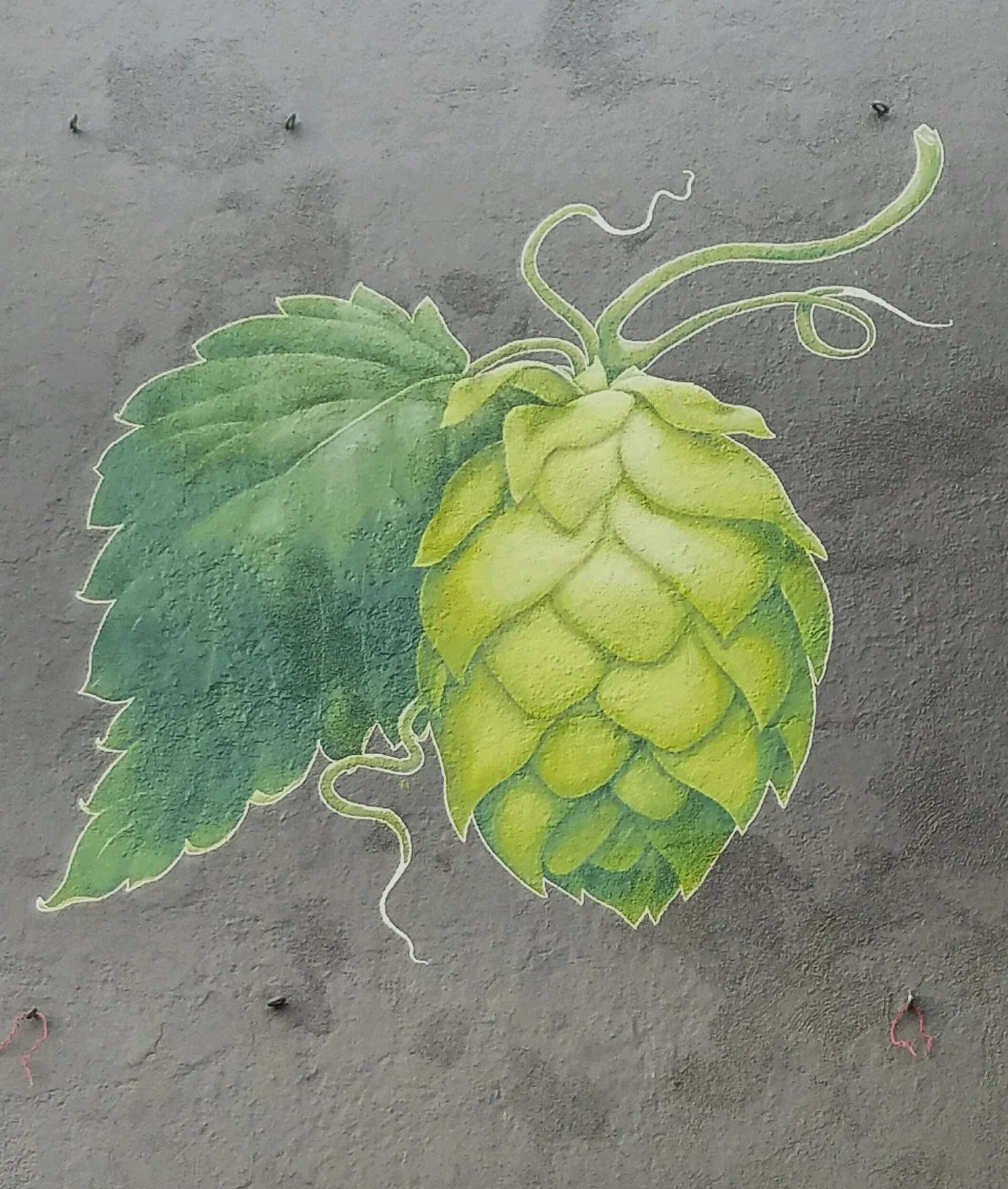 Hops mural