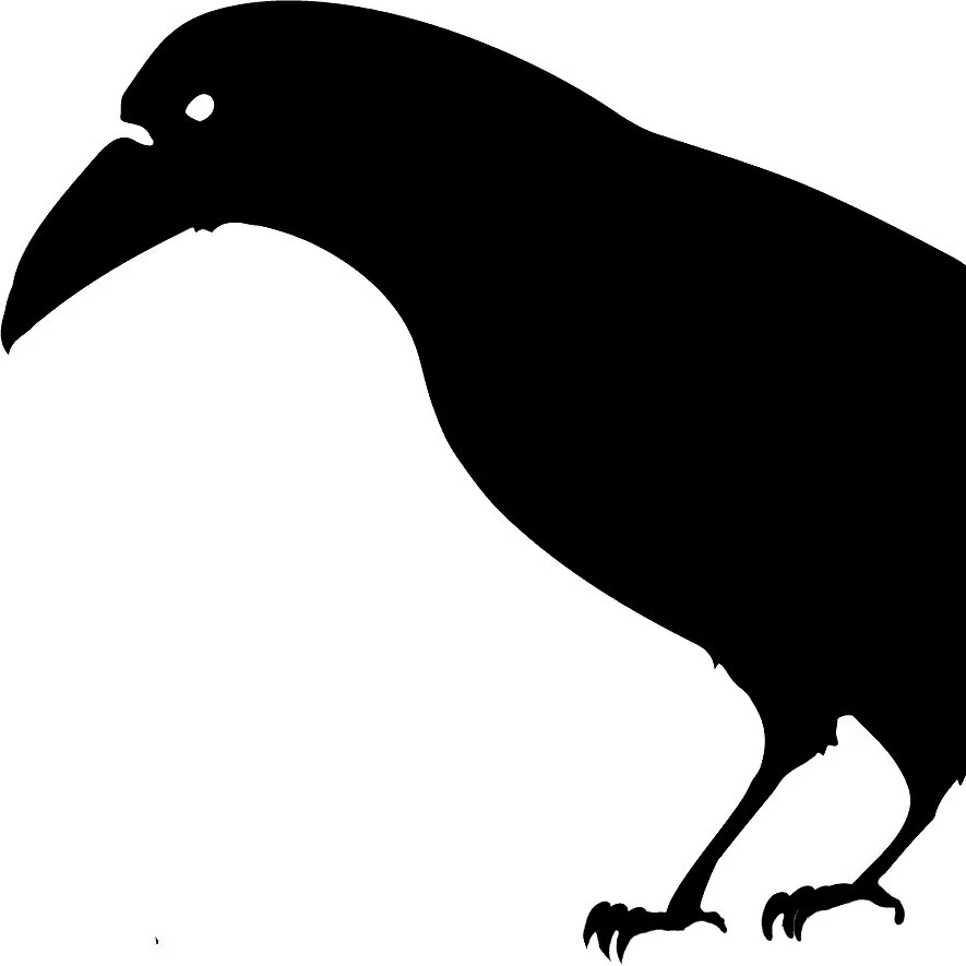 raven+black.jpg