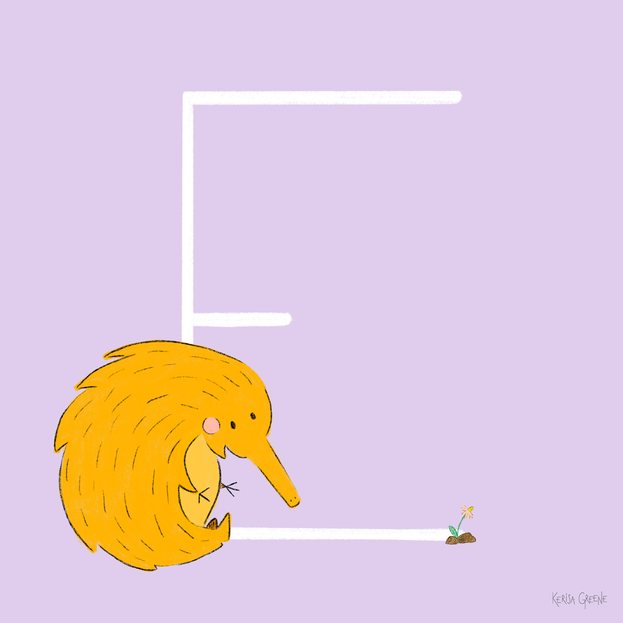 E is for Echidna This cutie is quickly becoming one of my favorite animals. They are mammals that have spines like porcupines, a beak like a bird, a pouch like a kangaroo, and lays eggs! ⠀
