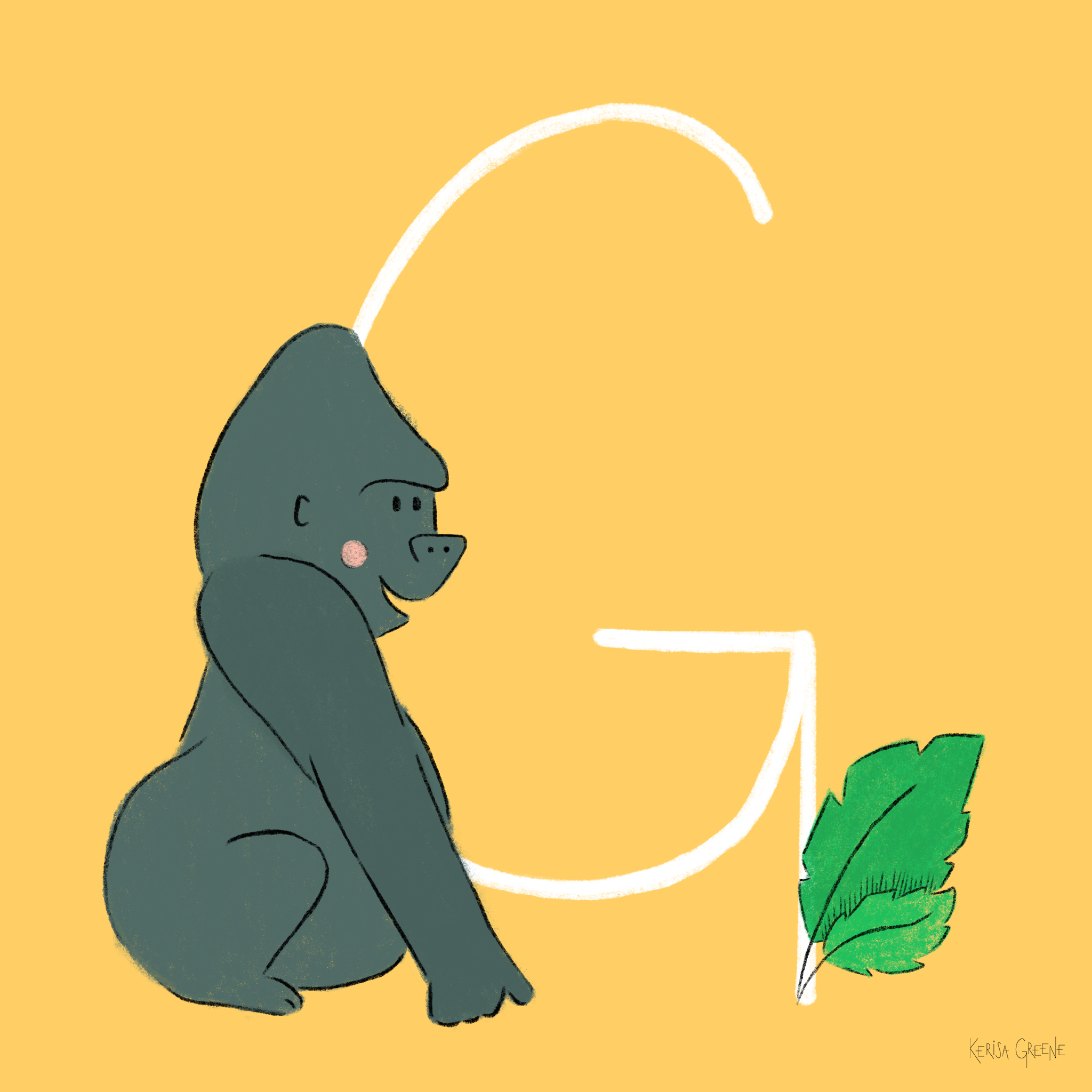 G is for Gorilla An adult male gorilla will eat around 50 pounds of food a day!