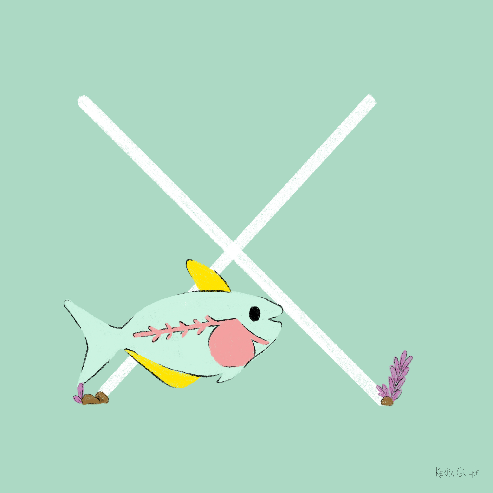 X is for X-ray fish These fish have a translucent body and are called frys when they’re babies⠀