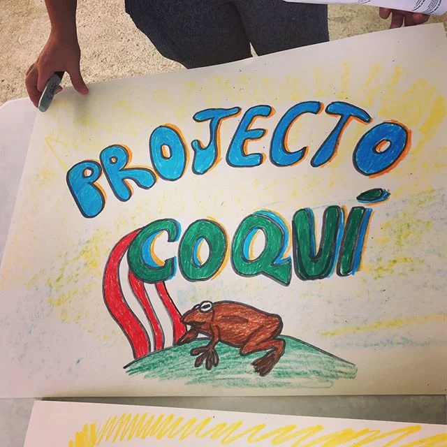 Yesterday in the town of Yabucoa we conducted our first Dream Hub workshop. The majority of the participants were from the Yabucoa community including young children. Refreshments were served before the informal presentation. 
We began engaging the c