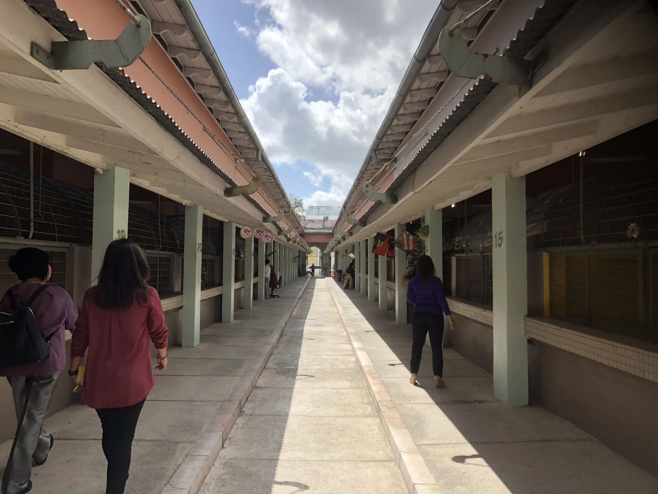 Latest Trip to Puerto Rico Opens Doors