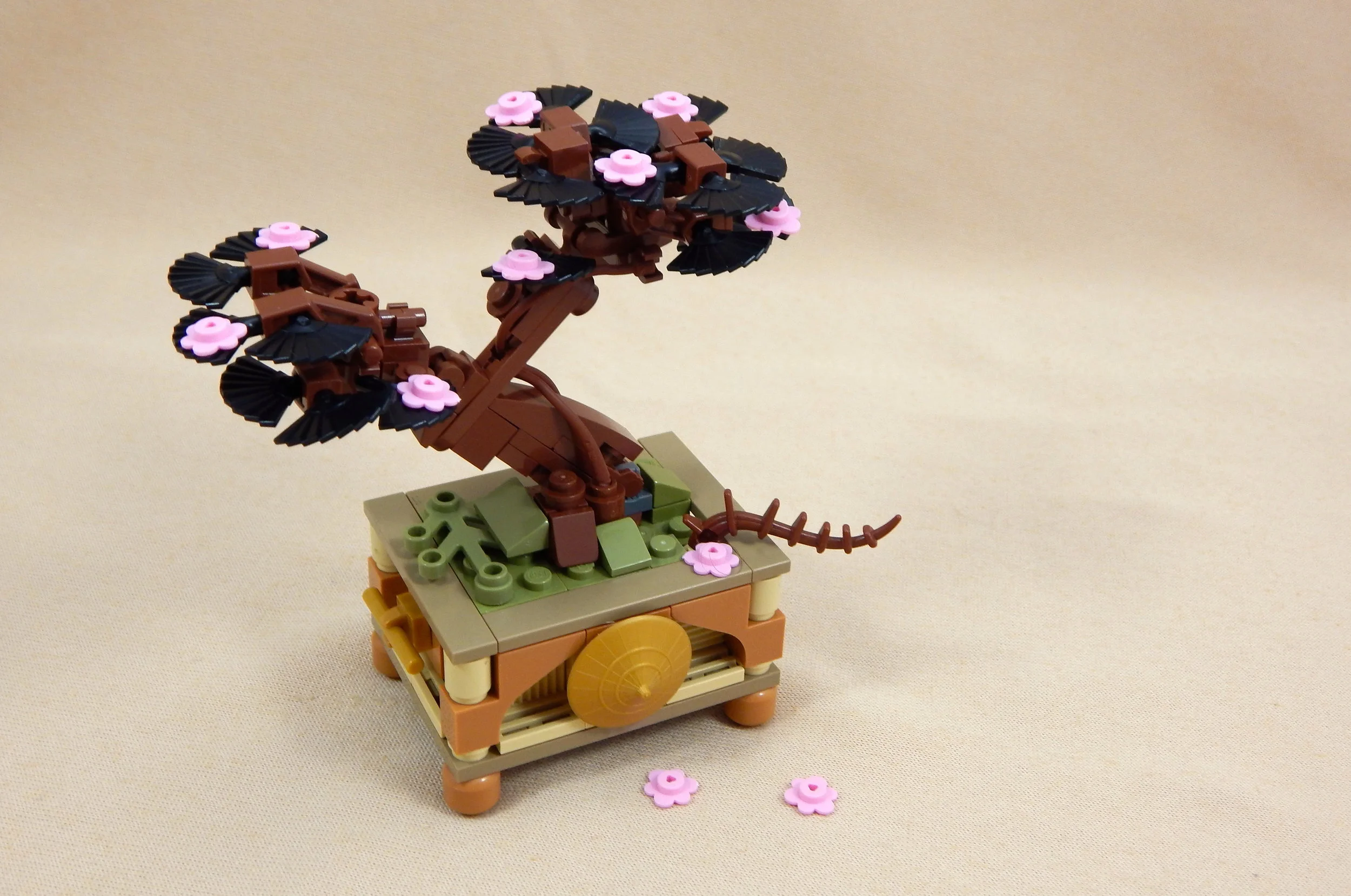 The Blossoming Bonsai.jpg
