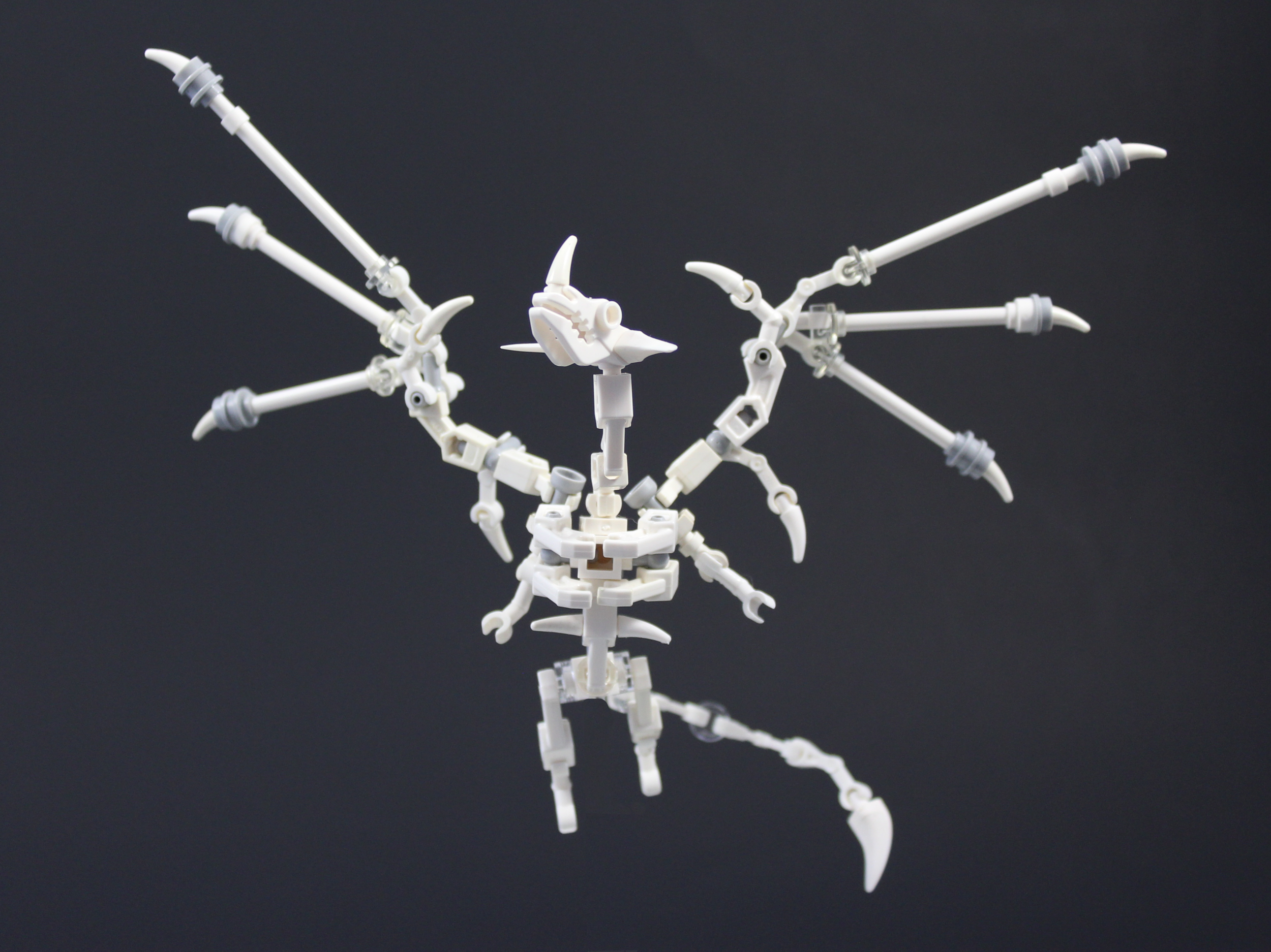 Dragon Front.png