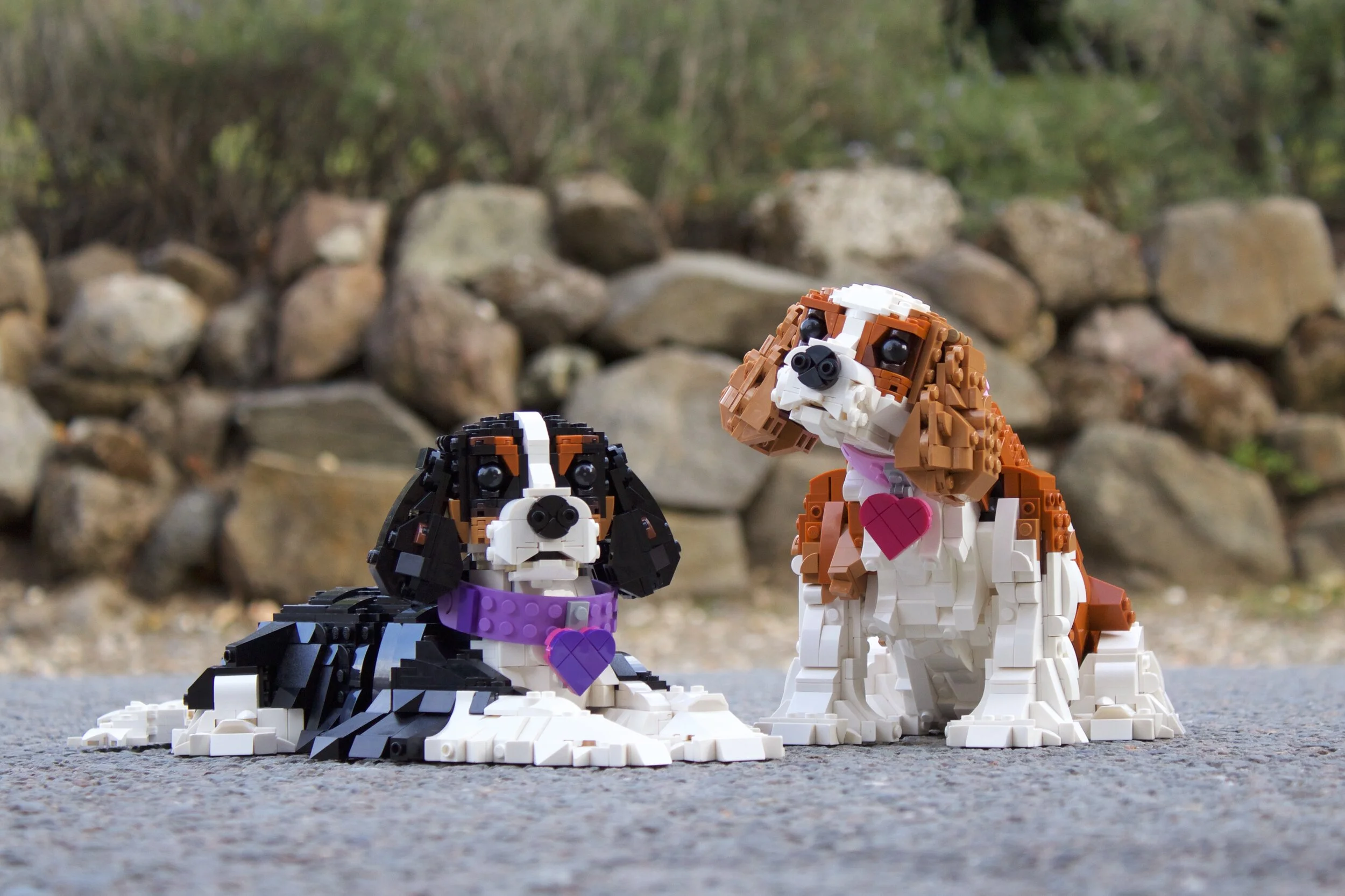 Two Models Working in "Harmony"