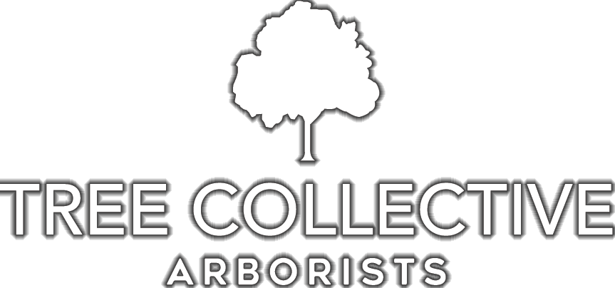 Tree Collective Arborists