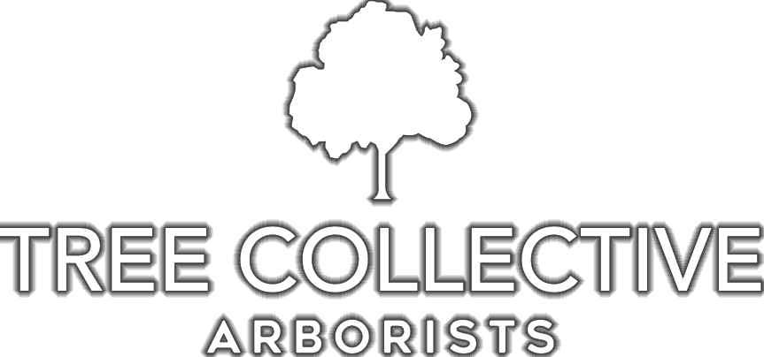 Tree Collective Arborists