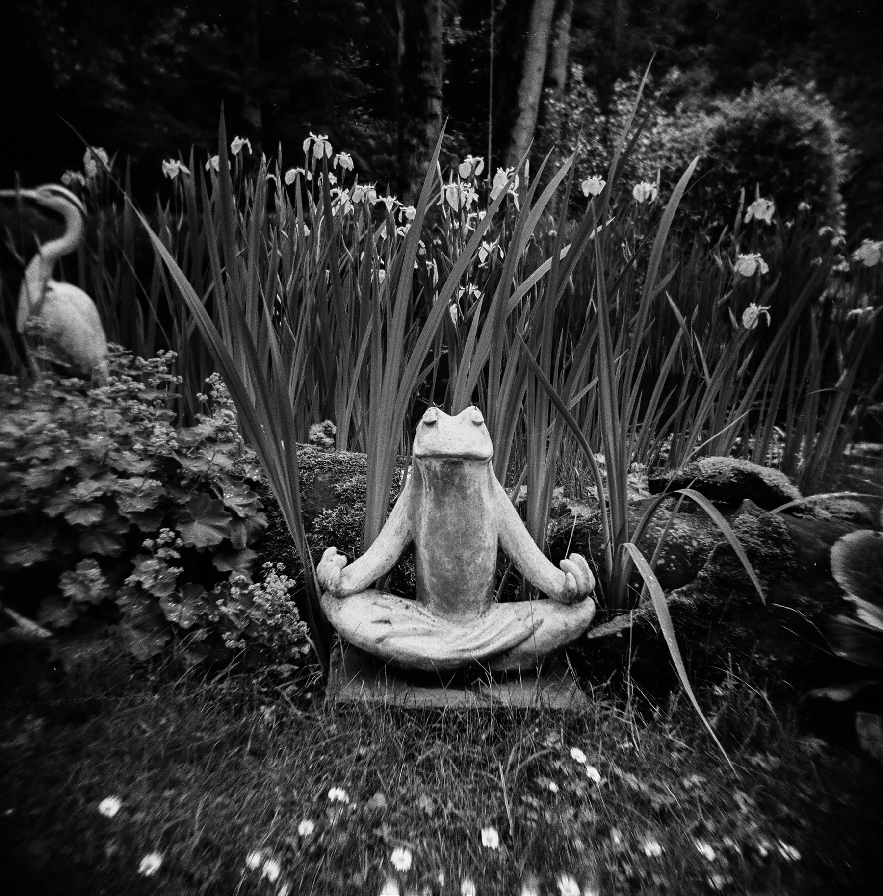 thegarden2.jpg